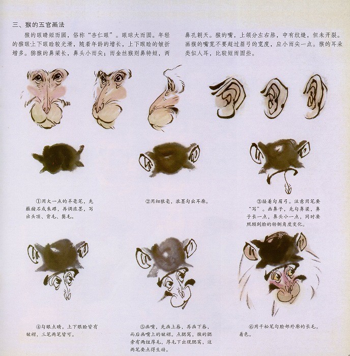 水墨画 / 水墨画集 中国画集 墨彩画 絵手紙 日本画 参考本[中国画技法