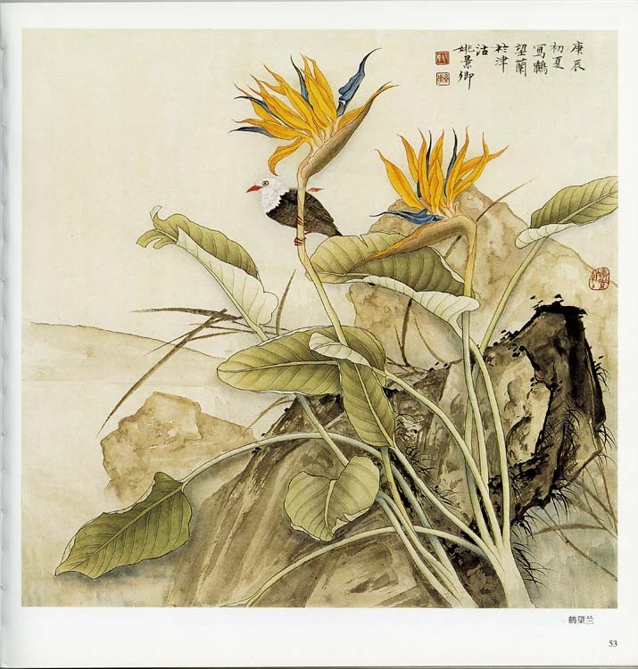 水墨画 / 水墨画集 中国画集 墨彩画 絵手紙 日本画 [姚景卿画禽鳥