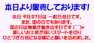 販売開始スマホ