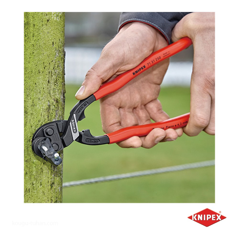 KNIPEX 7131-250 小型クリッパー リセスツキ(SB) : 4003773079668