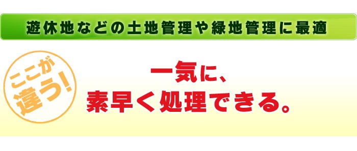 ここが違う！