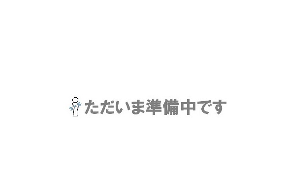 【ポイント15倍】【直送品】 エクセン 振動モータ EVSI 075 30000 (001492000) 【受注生産品】 【大型】 :exen 1492000:工具屋さん