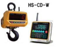 クボタ クレーンスケール(直示無線式) HS-CD-W-30