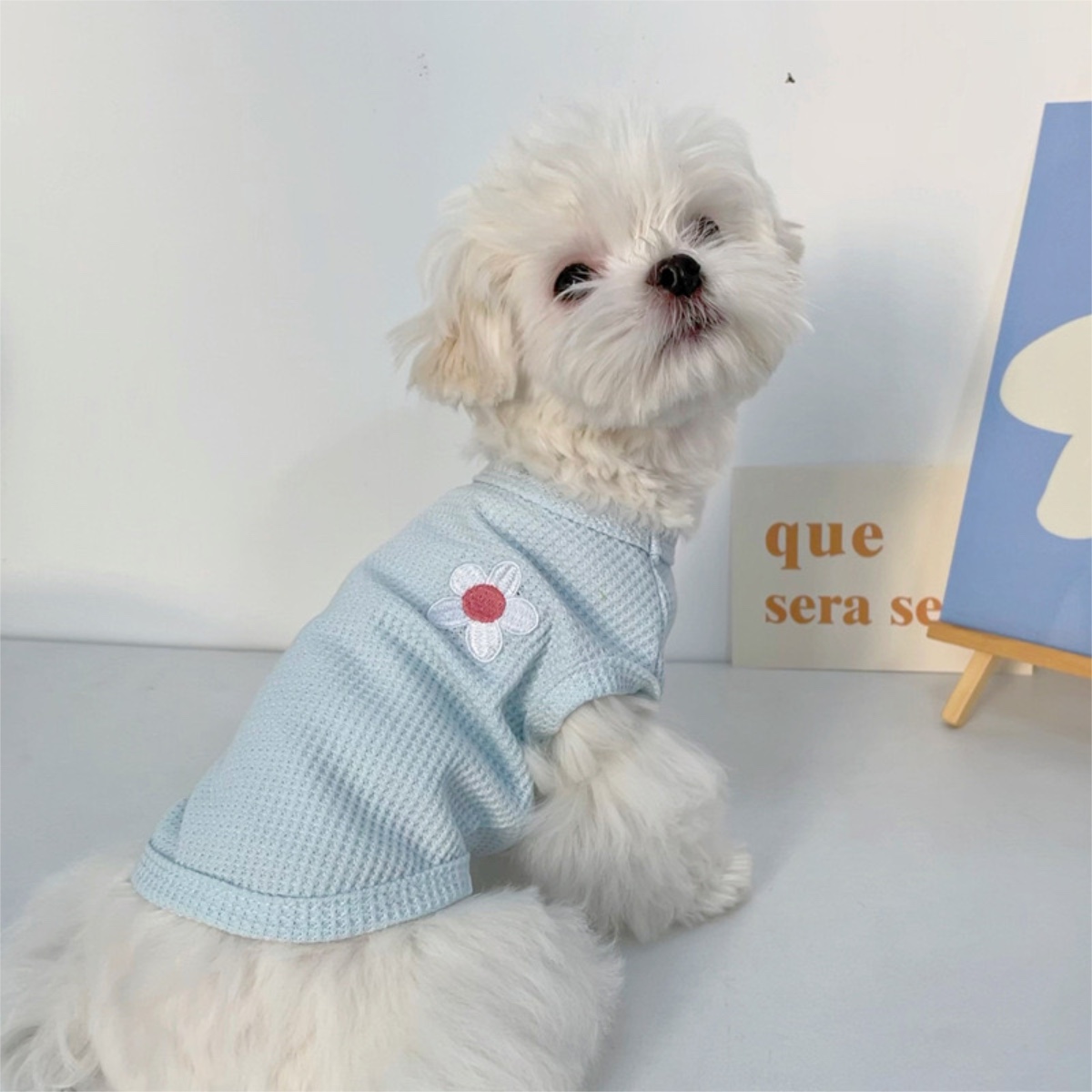 ペット用品 ペット 犬服 ドッグウェア ペットウェア 花柄　花びら　かわいい　おしゃれ　ワンちゃんの服　小型犬　中型犬　お散歩　お出かけ　春夏秋冬　安い　｜kouhi-store｜03