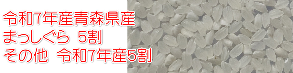 令和7年産業務用米 20kg(10kg × 2袋) 国内産 白米 送料無料 (沖縄