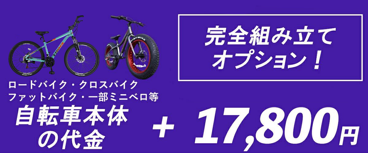組み立てオプション10割350