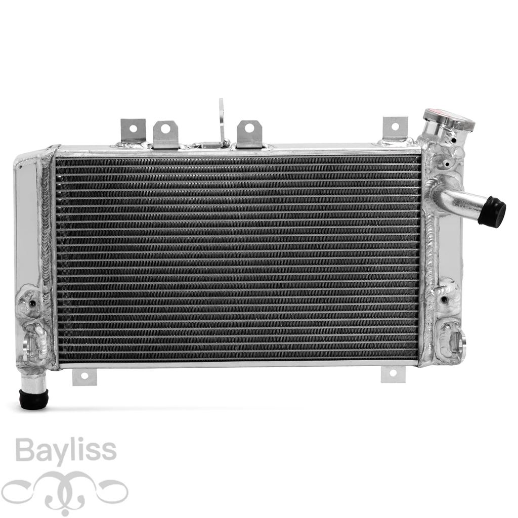 【並行輸入品】 BIKINGBOY エンジンラジエーター冷却 BMW S1000RR 09 10 11 12 13 14 15 16 17 18 HP4 レース 18 水クーラーアルミコアポリッシュの画像