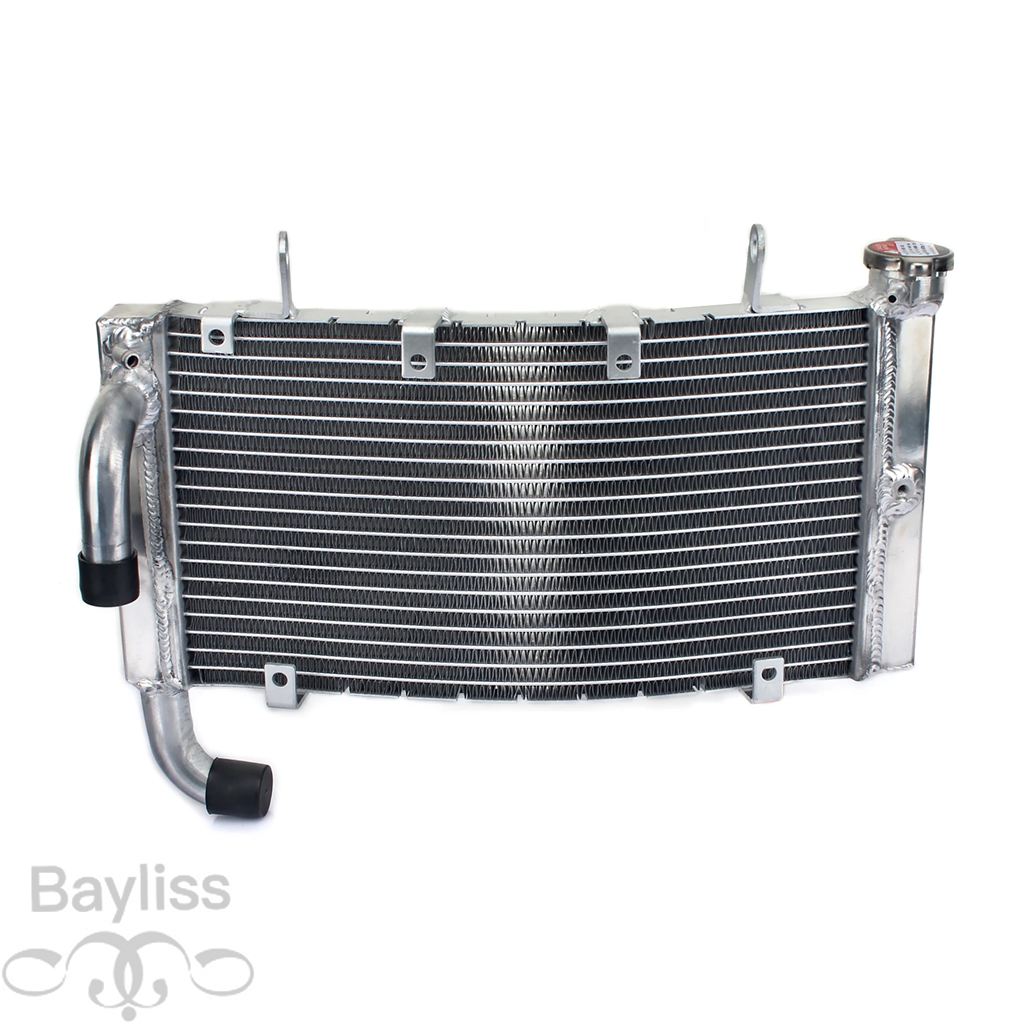 【並行輸入品】 Bikingboy-ドゥカティ用ラジエーター エンジン冷却 749 999 s r dark biposto monoposto 03 04 05 06 748 916 996 998 1098 1198 848 すべ