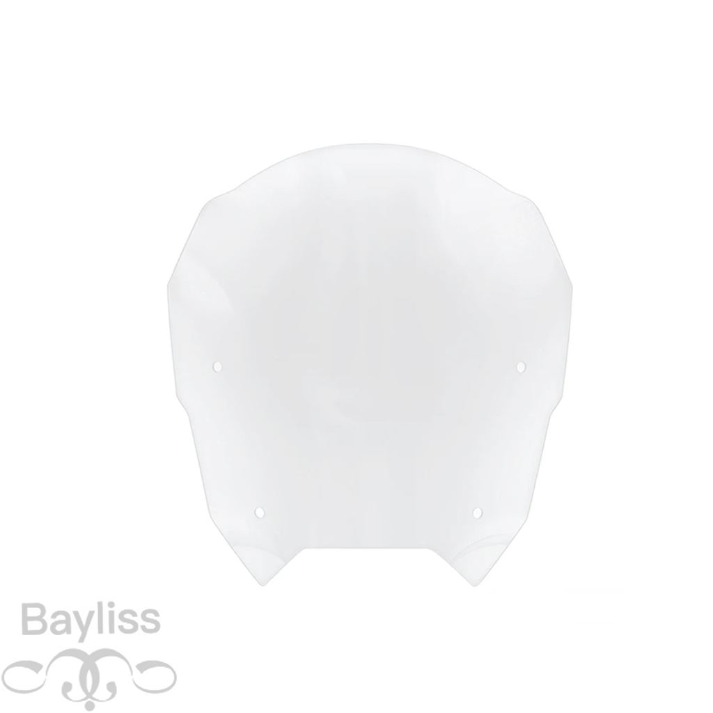 専用ページ ホワイト ツヤあり 並行輸入品】2025+ R1300RS アクセサリー 新型バイク フロントスポーツ