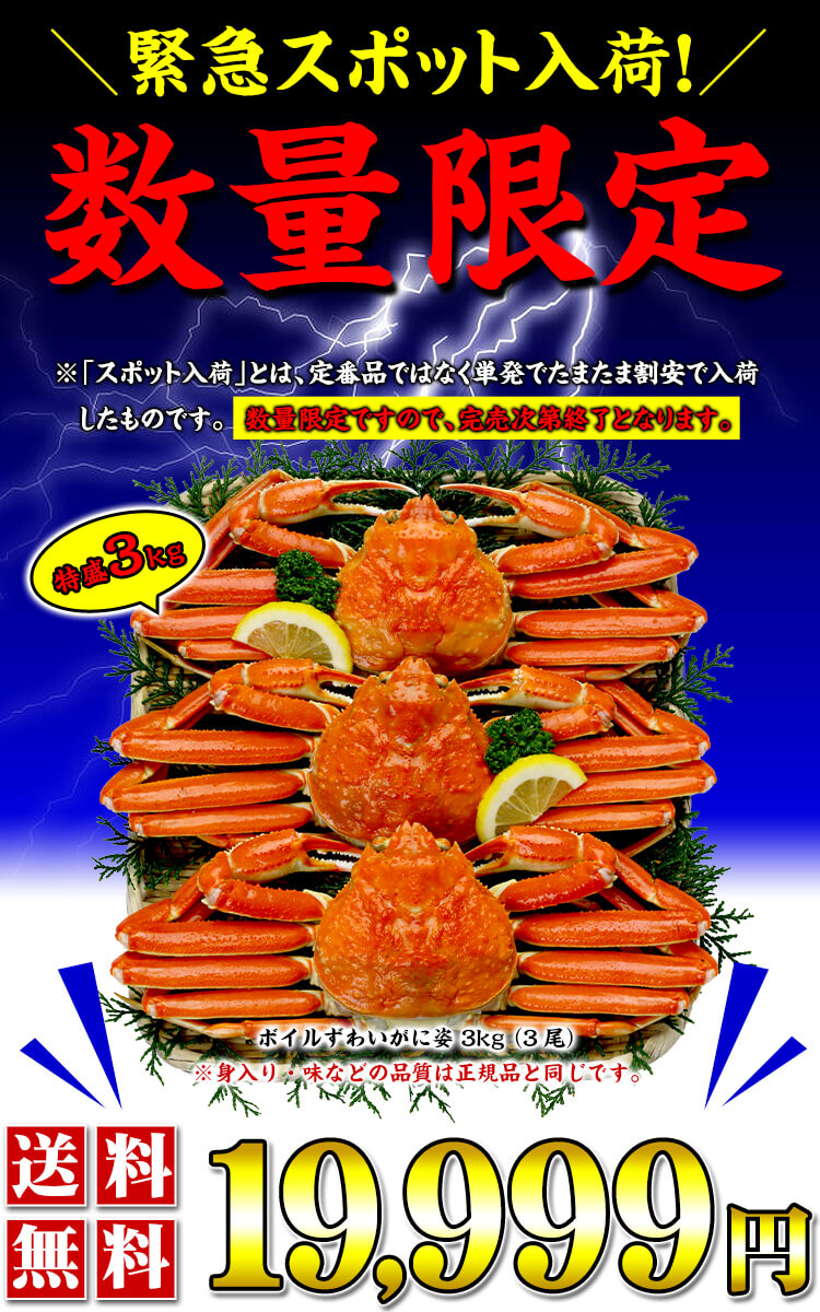 緊急スポット入荷