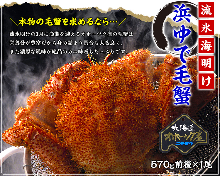 浜ゆで毛蟹