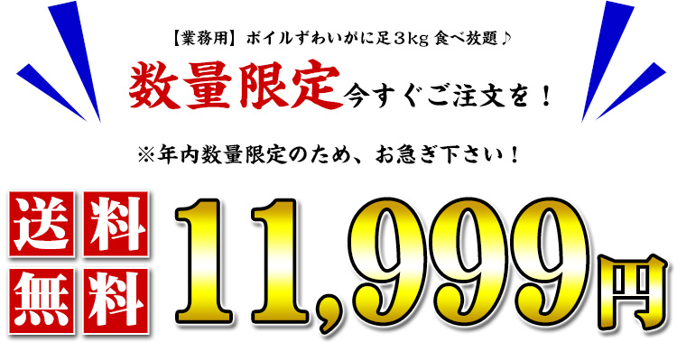 数量限定11999円