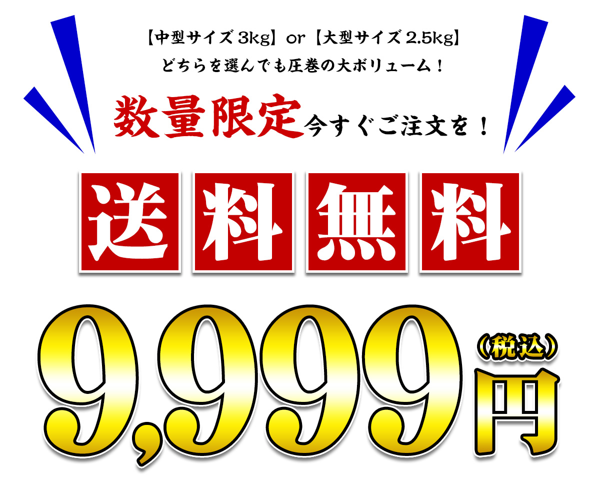 数量限定9999円
