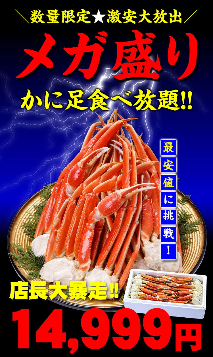 メガ盛り