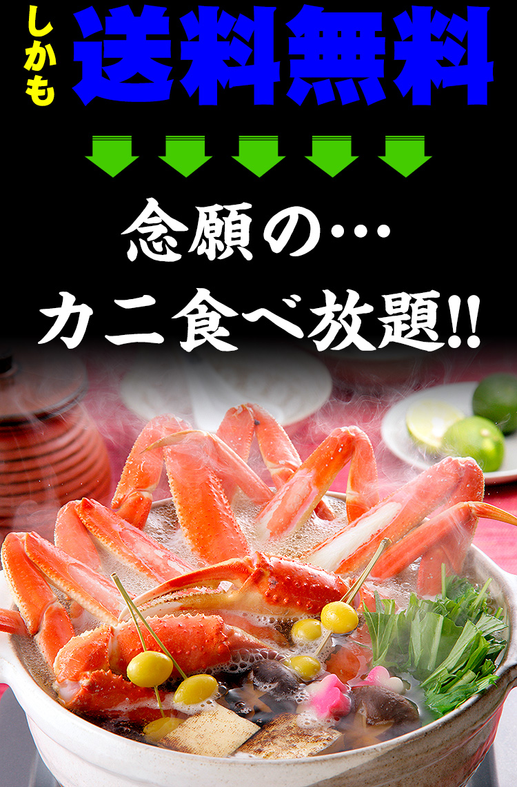 メガ盛り