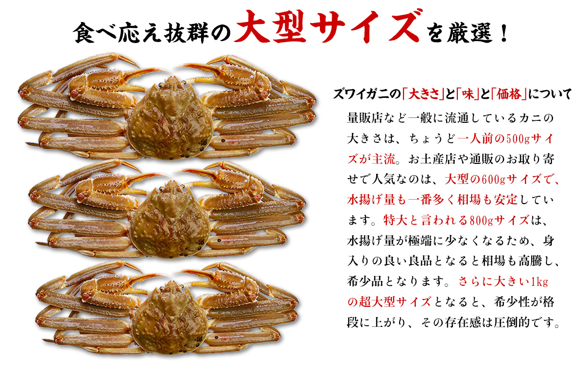 食べ応え抜群のサイズを厳選