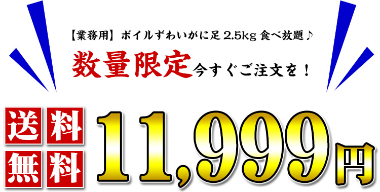 数量限定11999円