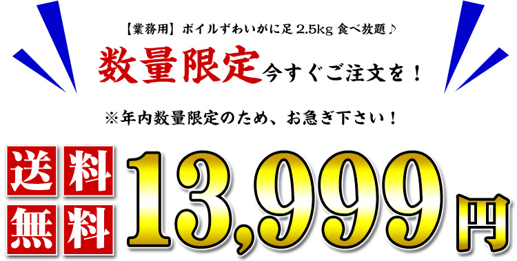 数量限定13999円