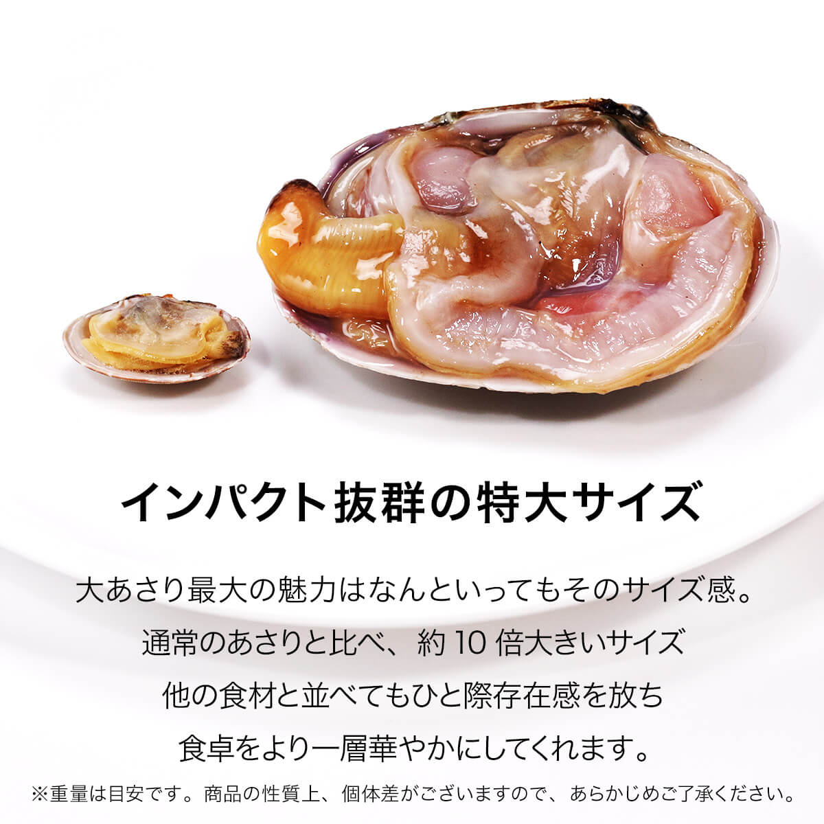 天然大あさり 片貝 1kg (7〜10個) 大あさり アサリ あさり 浅利 ウチムラサキ うちむらさき バーベキュー 海鮮 冷凍食品 関連画像3