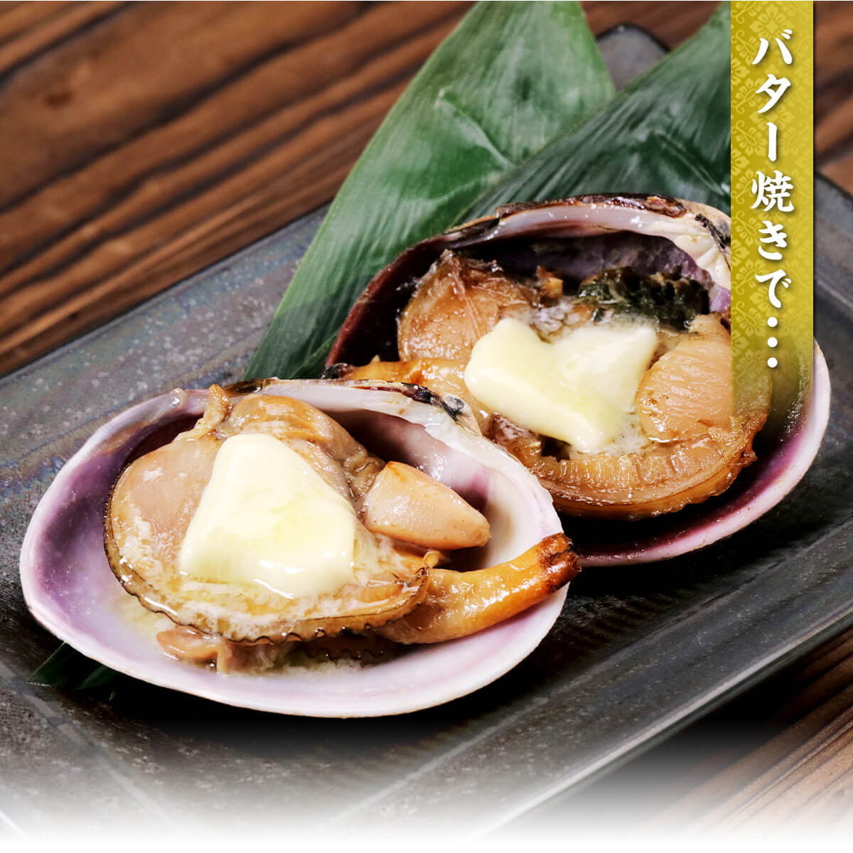 甲羅組 天然大あさり 片貝 1kg (7〜10個) 大あさり アサリ あさり 浅利