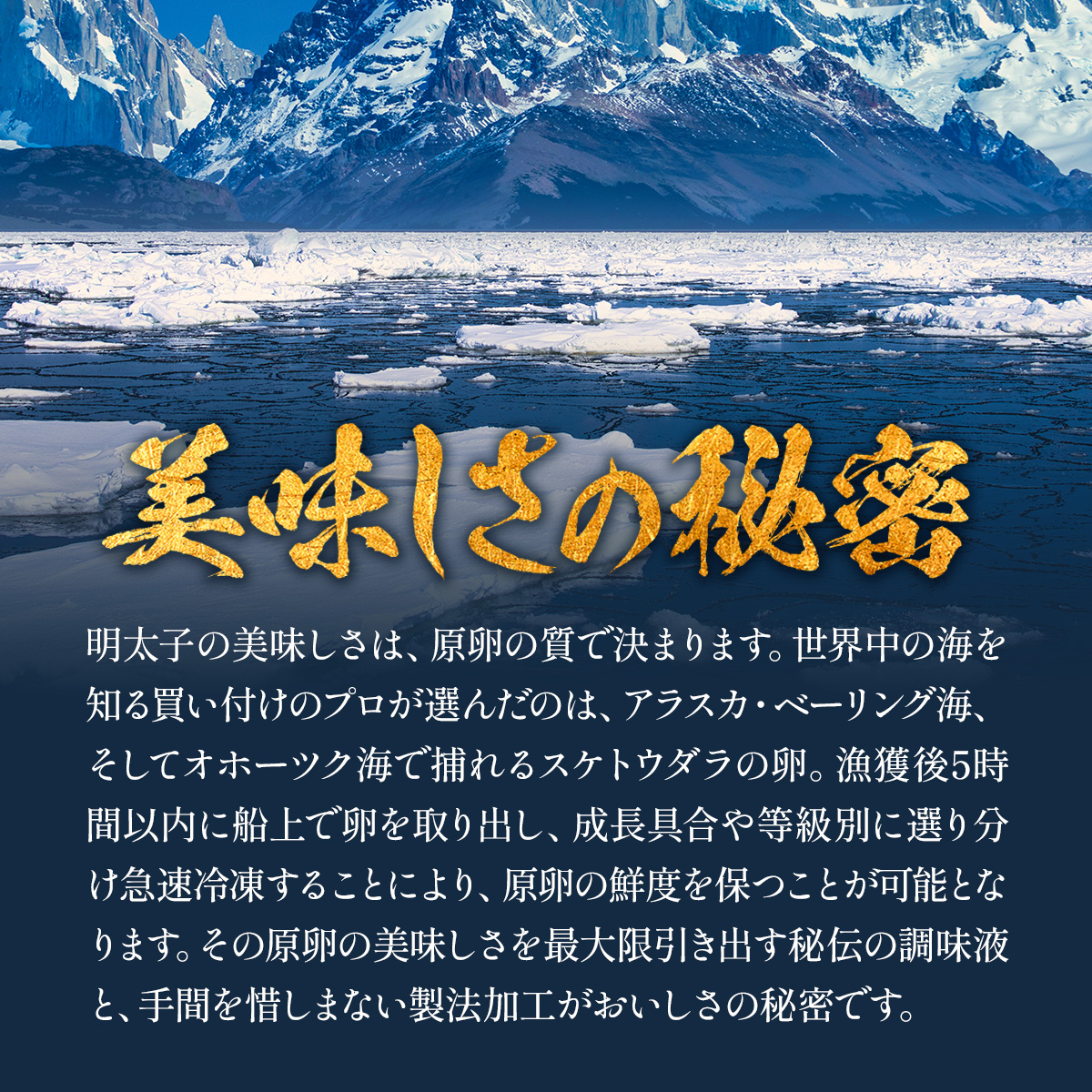 辛さが選べる⇒【訳あり/特切れ】辛子 明太子 or 辛くない or 激辛明太子 タラコ 業務用 たっぷり1kg 食べ放題 ご飯のお供 たらこ 鱈子 お歳暮 めんたいこ 爆買 関連画像2