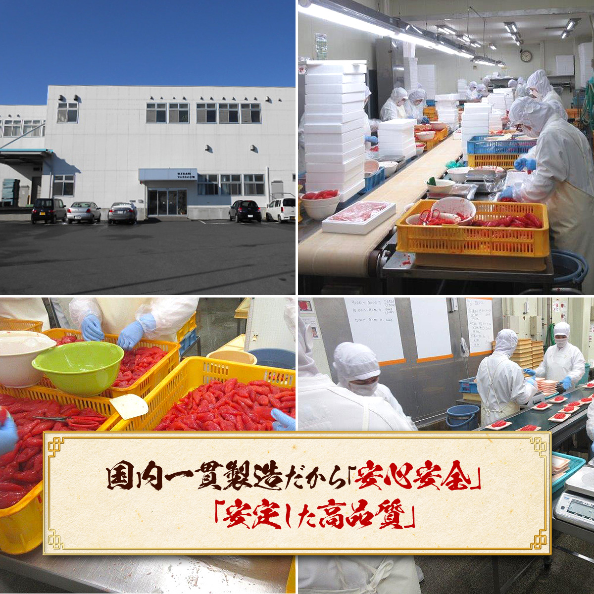 辛さが選べる⇒【訳あり/特切れ】辛子 明太子 or 辛くない or 激辛明太子 タラコ 業務用 たっぷり1kg 食べ放題 ご飯のお供 たらこ 鱈子 お歳暮 めんたいこ 爆買 関連画像4