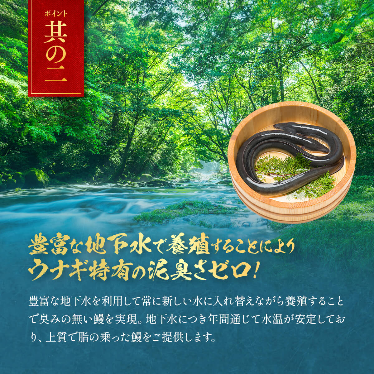 説明.jpg