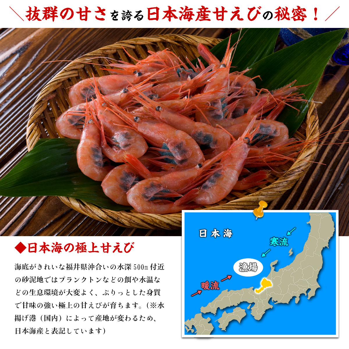 先行予約 あまえび 2026年4月より順次発送予定】甘えび（もちえび）500g 1袋 × ドラゴンボールカード