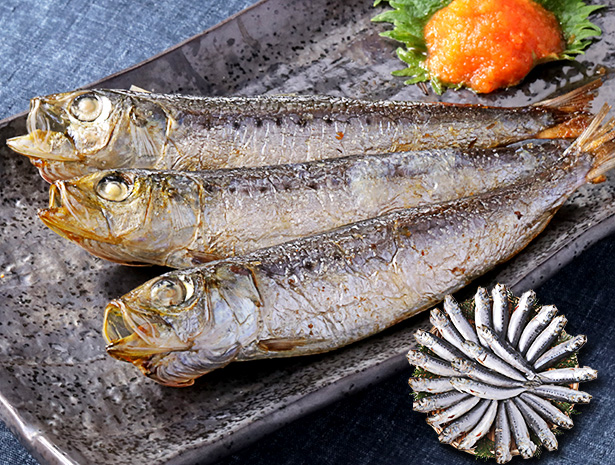 小羽いわし丸干し 1kg 25尾前後 イワシ 鰯 海鮮 魚 大容量 おかず 惣菜 焼魚 魚介 海鮮 BBQ 爆買