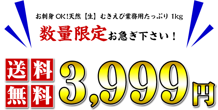 送料無料