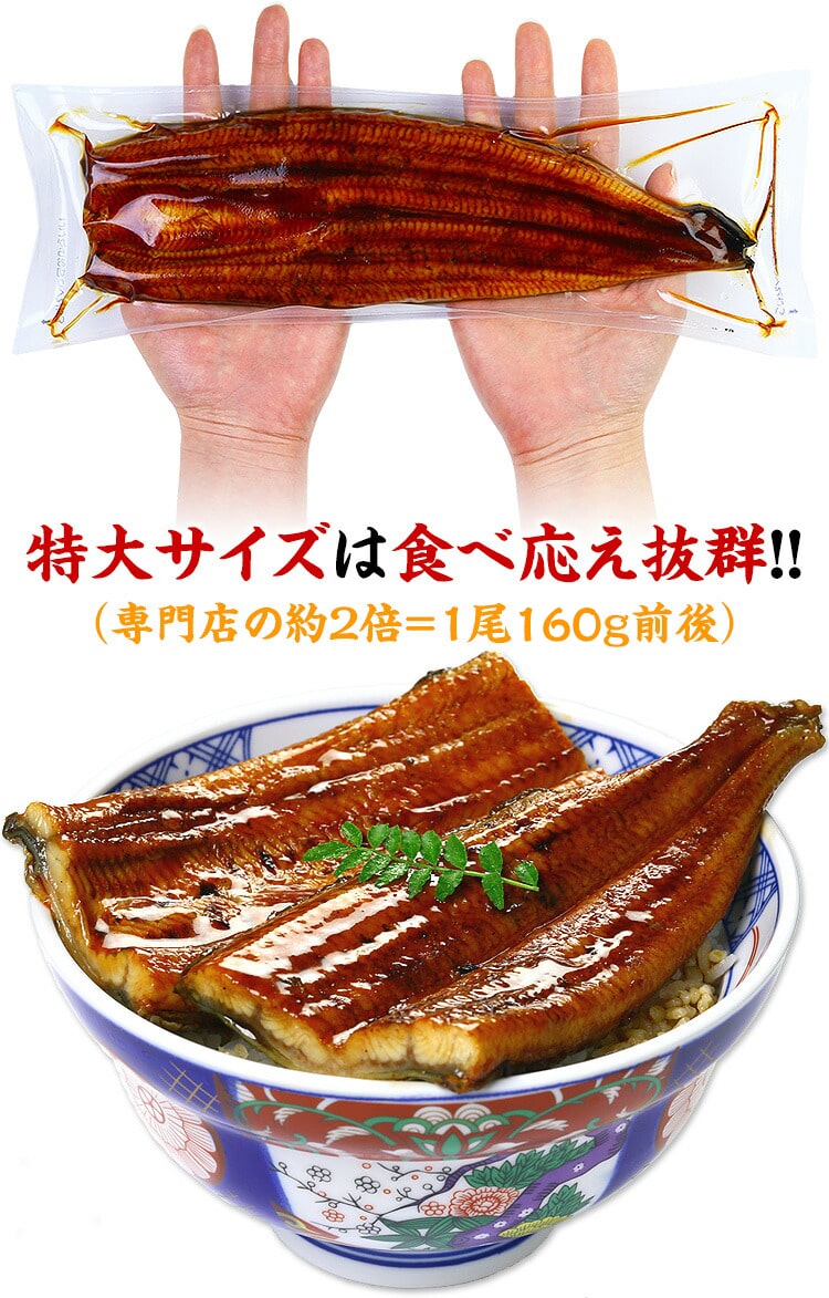 大型