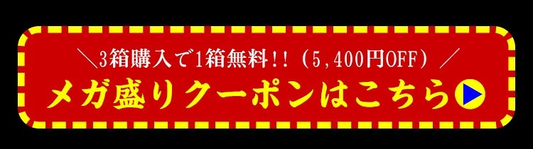 メガ盛りクーポン