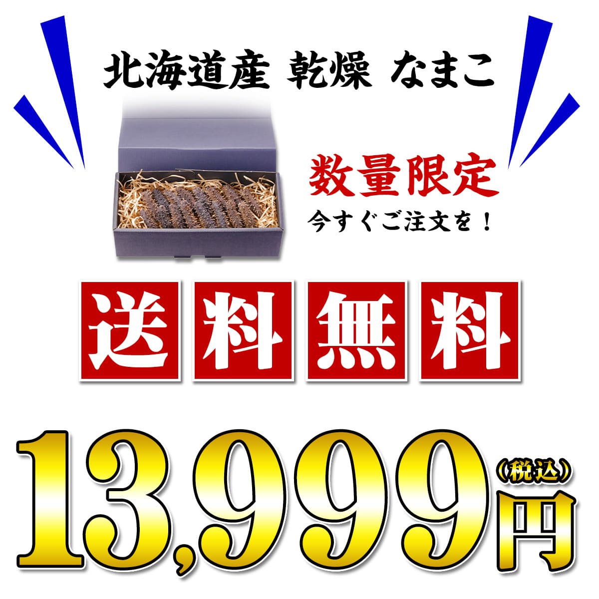 甲羅組 北海道産 乾燥 なまこ 100g Mサイズ 高級品 贈答品 プレゼント
