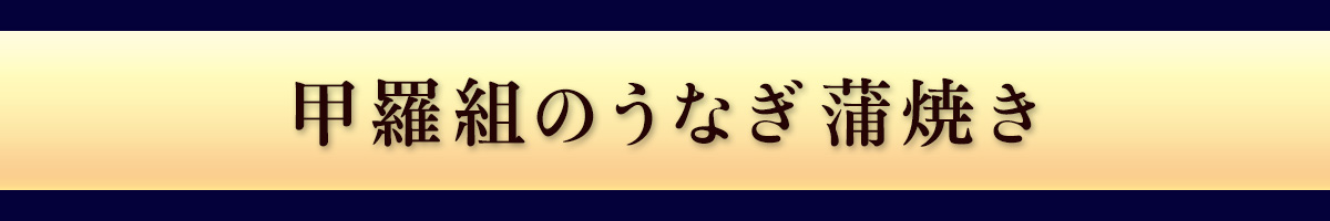 うなとろ丼セット