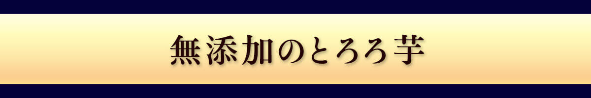 うなとろ丼セット
