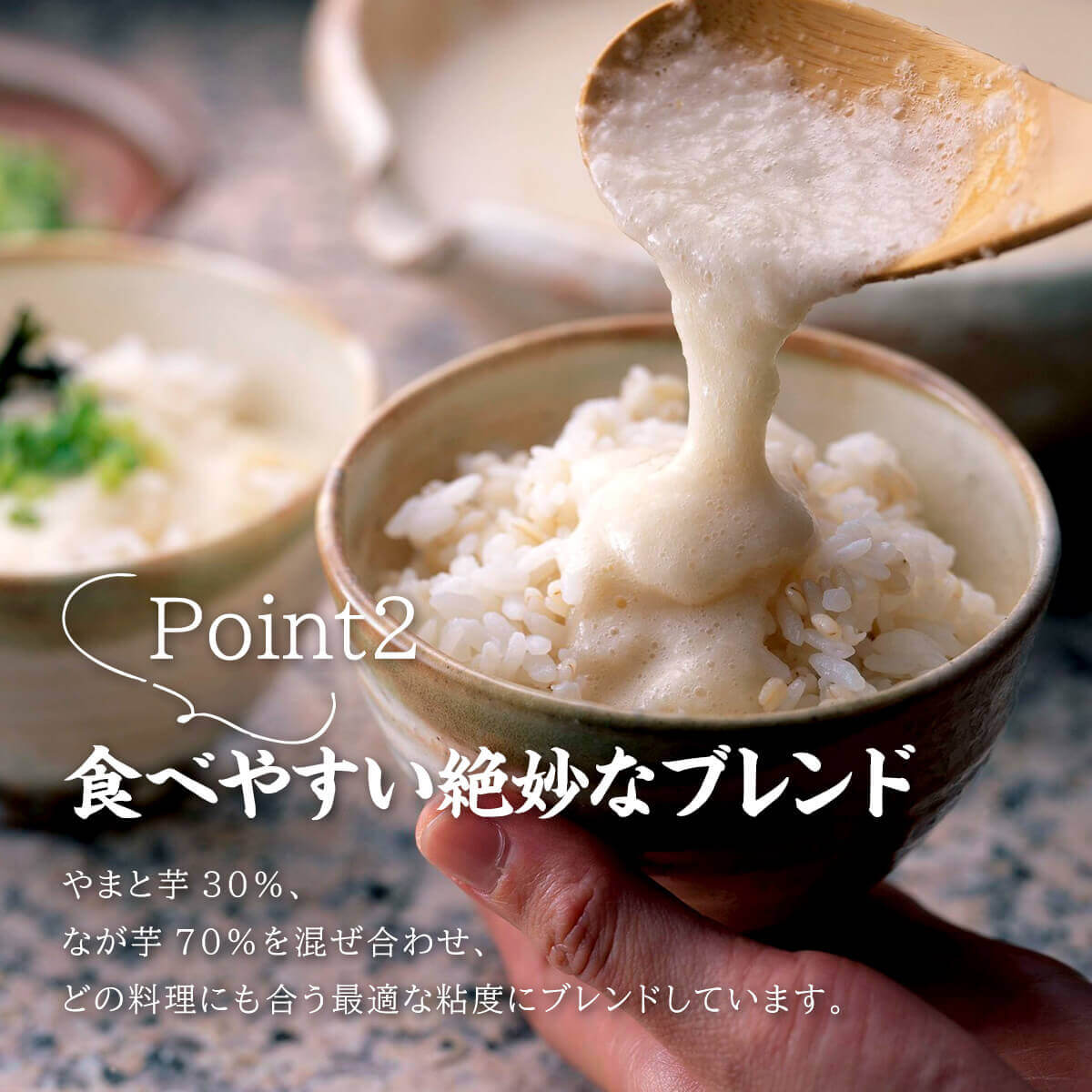 うなとろ丼セット