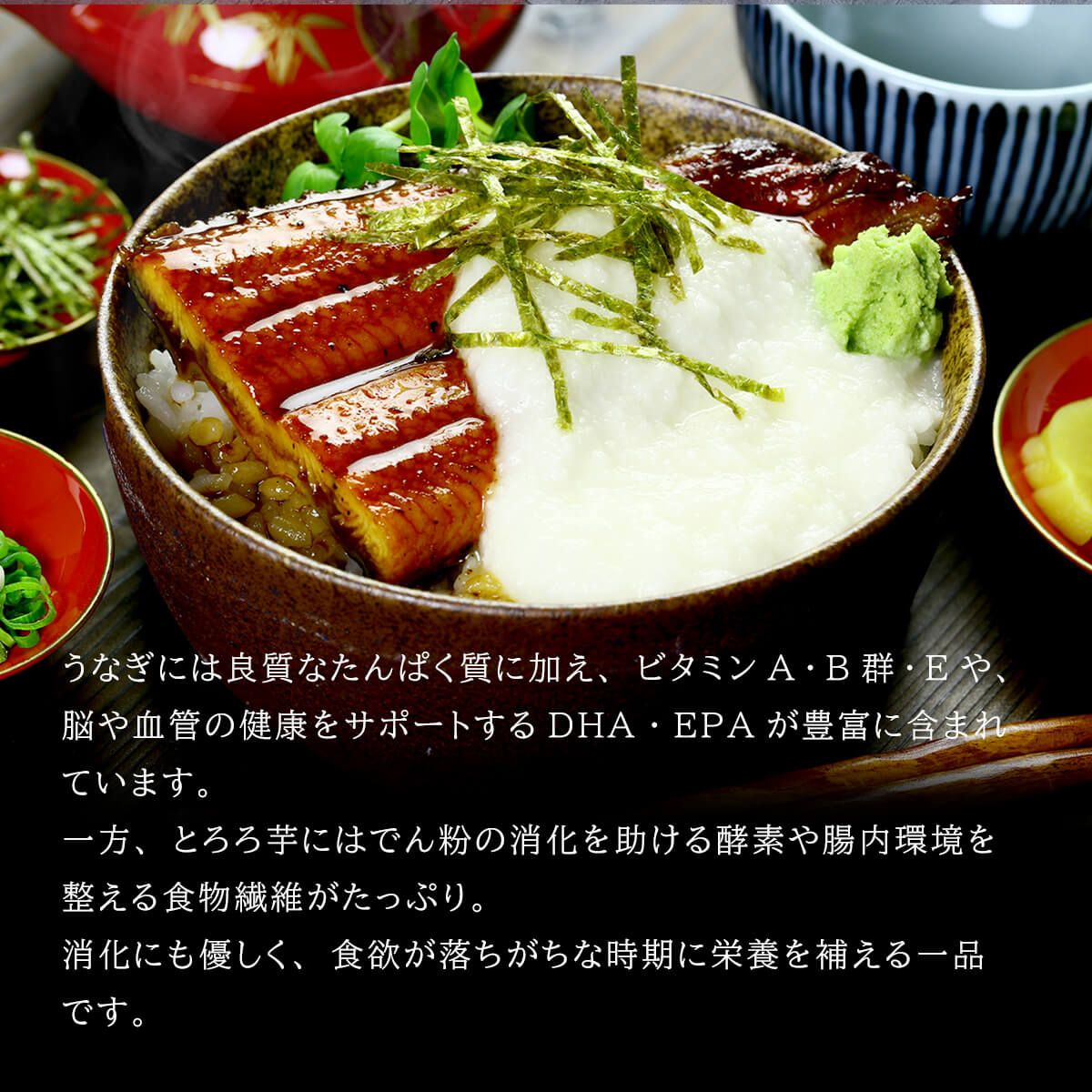 うなとろ丼セット