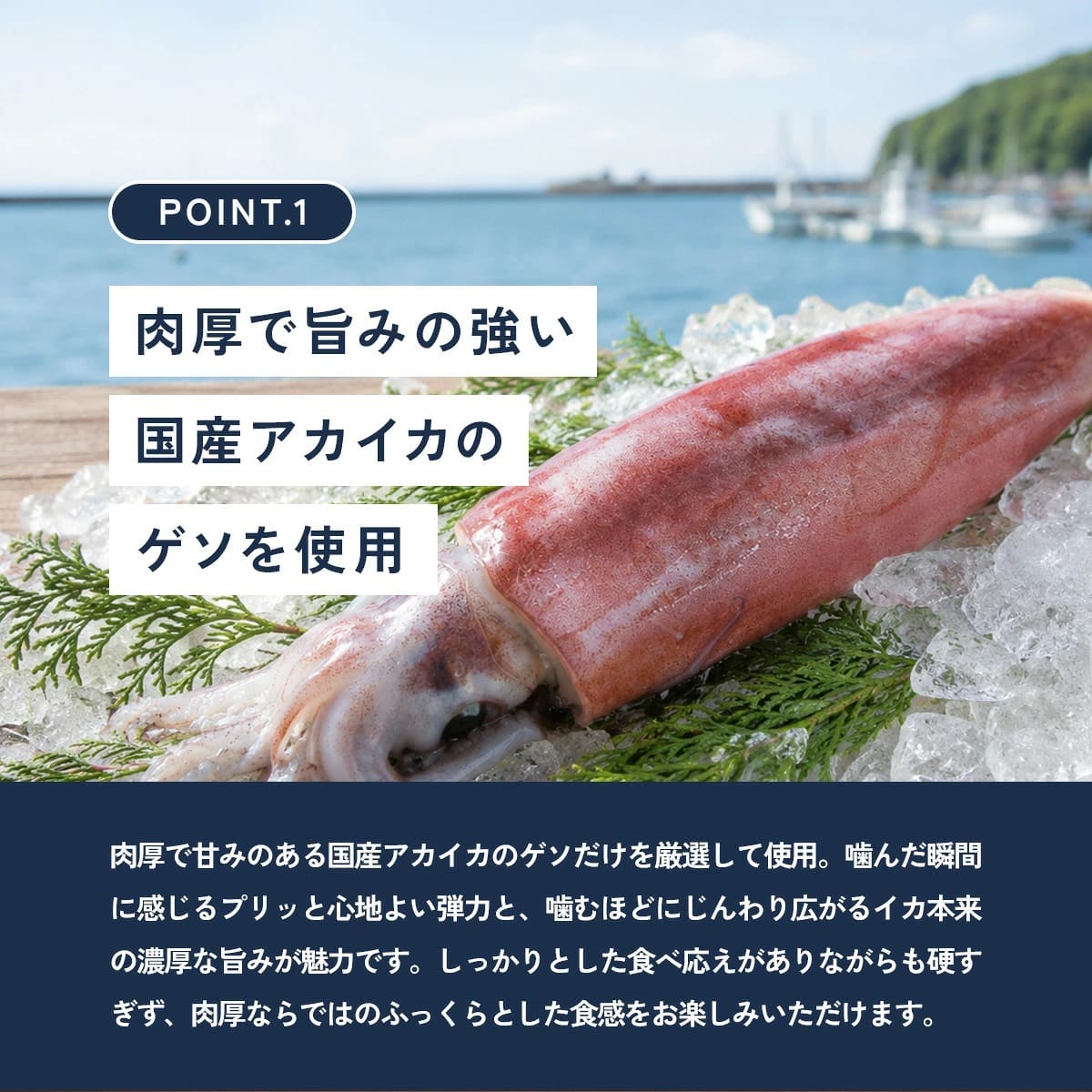 【8/5 23:59まで★50%OFFクーポン...の詳細画像1