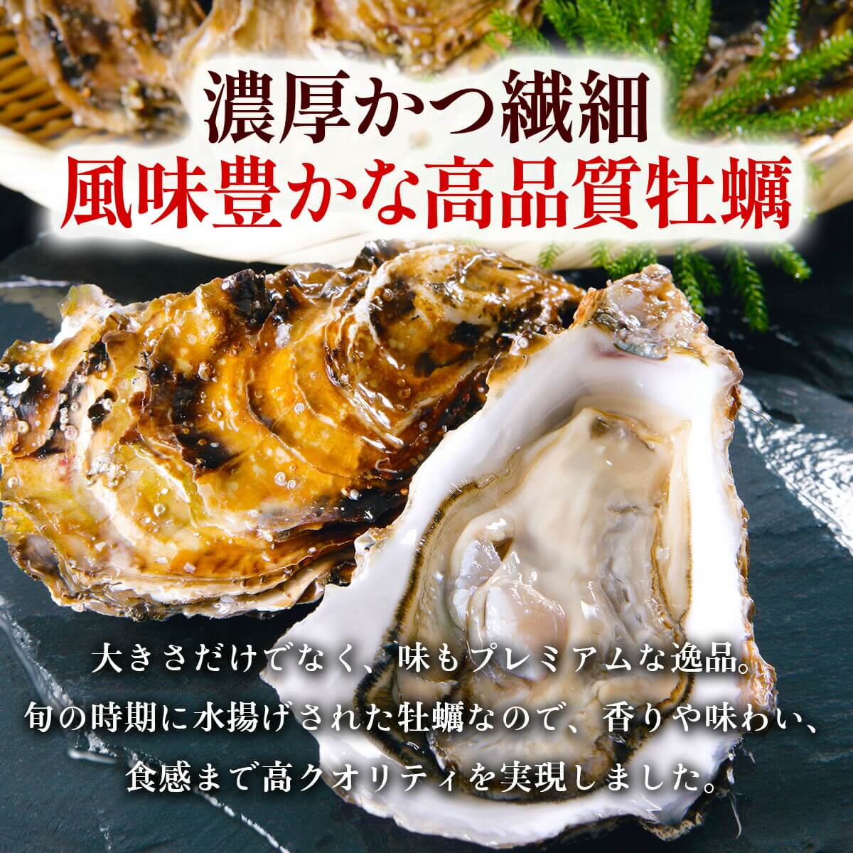 広島県産ジャンボかきフライ20個