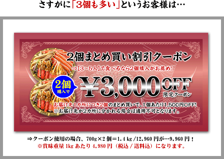 2個購入で3000円OFFクーポン