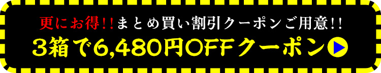 メガ盛りクーポン