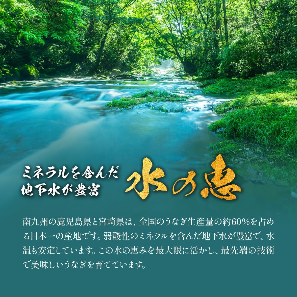 水の恵