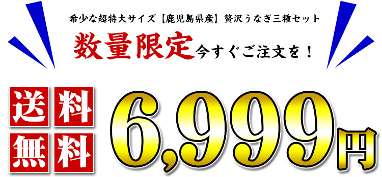 数量限定6999円