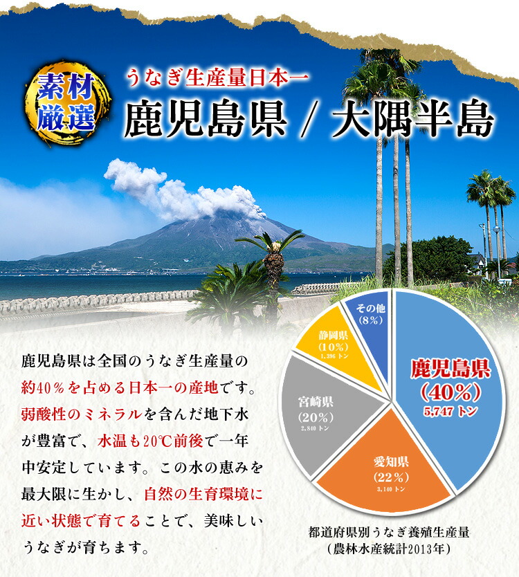 ウナギ 鰻 国産 【 鹿児島県産 】 きざみ うなぎ 蒲焼き 業務用 たっぷり 500g（お茶碗10杯分）念願の食べ放題♪ ギフト 贈り物 誕生日 FF｜kouragumi｜04