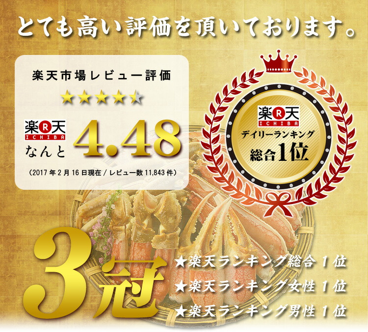 デイリーランキング総合1位