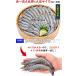 高級クルマエビを超えた!?世界の一流シェフが絶賛!天使の海老 1kg 30〜40尾入 送料無料 エビ えび 天使のエビ プレゼント FF ポイント利用 爆買 関連画像1