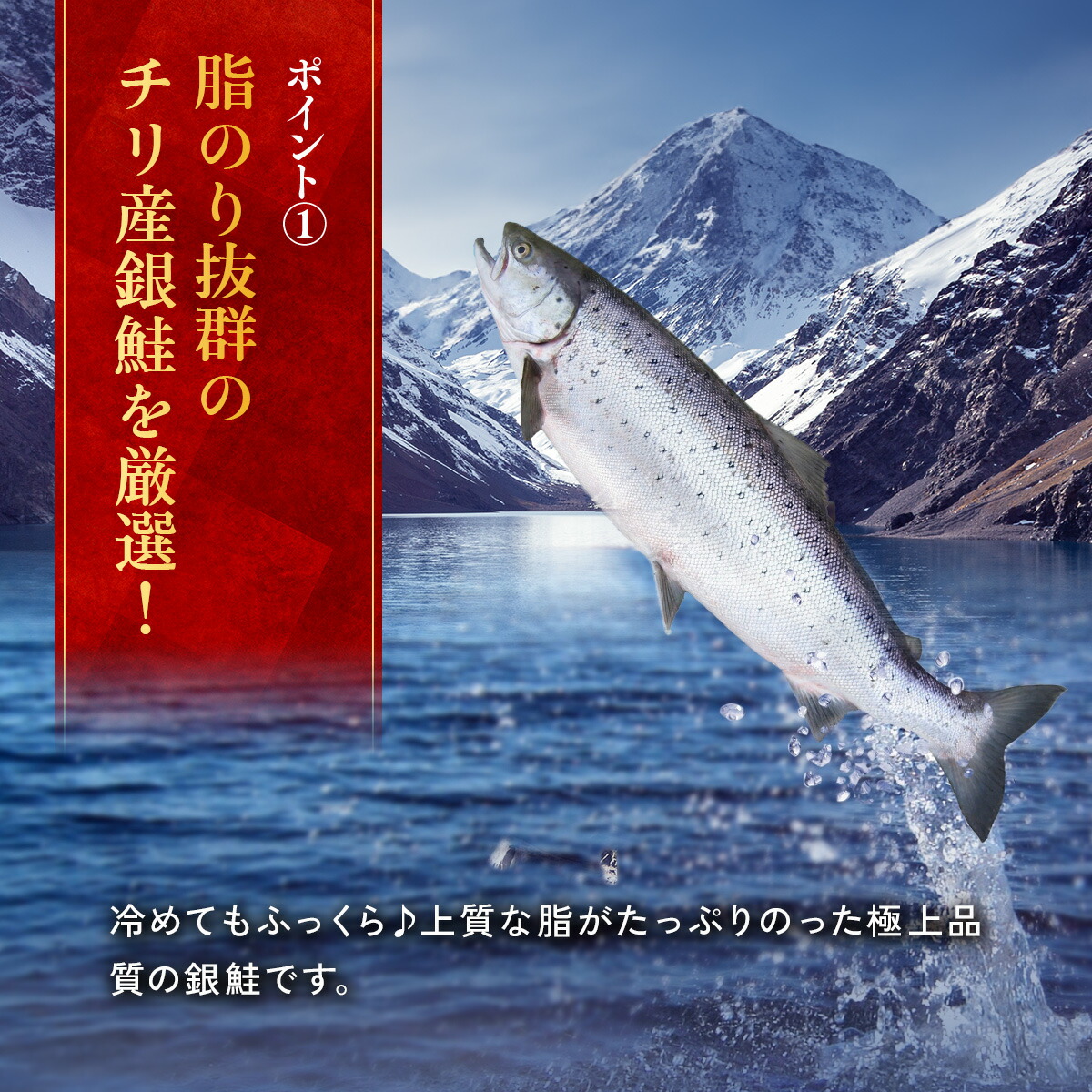 わがママ骨取り切身 無塩 骨取り 銀鮭 切身 選べる種類⇒（30g×20切れ , 60g×10切れ） さけ サケ 切り身 弁当 朝食 ポイント利用 | 甲羅組 | 09