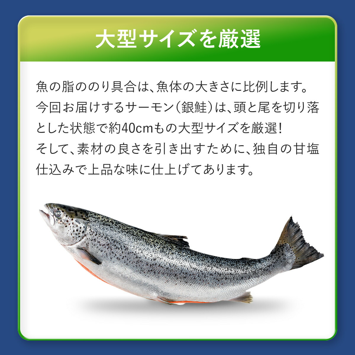わがママ骨取り切身 無塩 骨取り 銀鮭 切身 選べる種類⇒（30g×20切れ , 60g×10切れ） さけ サケ 切り身 弁当 朝食 ポイント利用 | 甲羅組 | 10