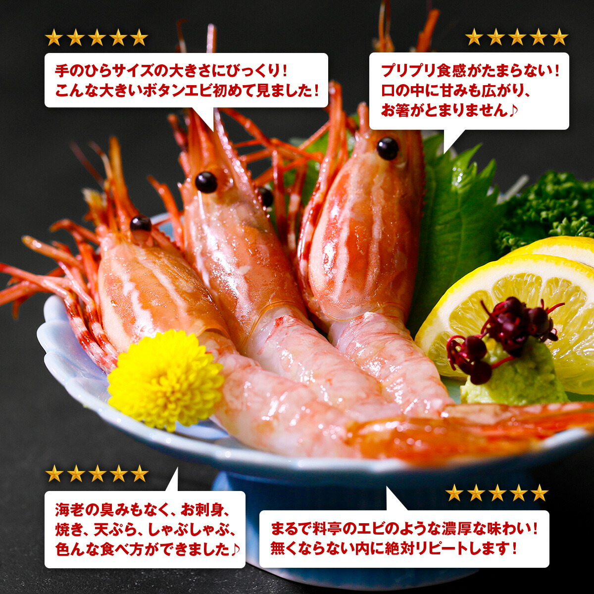 【カナダ産】めったにない希少な超特大サイズを厳選!天然ぼたんえび1kg(約15尾前後) 牡丹海老 牡丹えび ボタンエビ スポットエビ 刺身 爆買 お歳暮 関連画像1