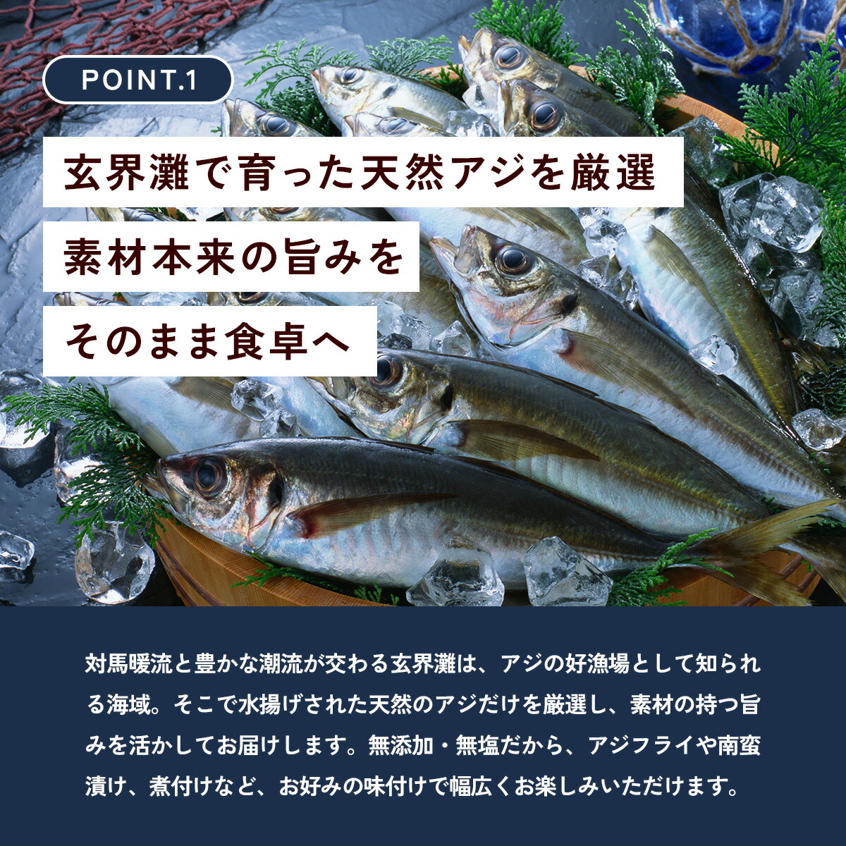 【玄界灘産】骨取り 天然小アジ切身 たっぷり1...の詳細画像1
